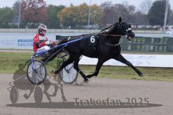 Dateiname=20251009_r04_065_R04_0240.jpg
Dateigröße=263KB
Abmessungen: 1000x667
hinzugefügt am: 09. Oktober 2025 20251009_r04_065_R04_0240.jpg