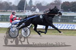 Dateiname=20251009_r04_066_R04_0244.jpg
Dateigröße=266KB
Abmessungen: 1000x667
hinzugefügt am: 09. Oktober 2025 20251009_r04_066_R04_0244.jpg