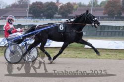 Dateiname=20251009_r04_067_R04_0247.jpg
Dateigröße=263KB
Abmessungen: 1000x667
hinzugefügt am: 09. Oktober 2025 20251009_r04_067_R04_0247.jpg