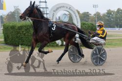 Dateiname=20251009_r04_068_R04_0249.jpg
Dateigröße=273KB
Abmessungen: 1000x667
hinzugefügt am: 09. Oktober 2025 20251009_r04_068_R04_0249.jpg