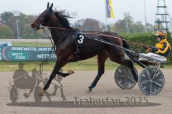 Dateiname=20251009_r04_069_R04_0253.jpg
Dateigröße=260KB
Abmessungen: 1000x667
hinzugefügt am: 09. Oktober 2025 20251009_r04_069_R04_0253.jpg