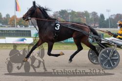 Dateiname=20251009_r04_070_R04_0256.jpg
Dateigröße=271KB
Abmessungen: 1000x667
hinzugefügt am: 09. Oktober 2025 20251009_r04_070_R04_0256.jpg