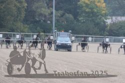 Dateiname=20251009_r04_071_R04_0259.jpg
Dateigröße=277KB
Abmessungen: 1000x667
hinzugefügt am: 09. Oktober 2025 20251009_r04_071_R04_0259.jpg