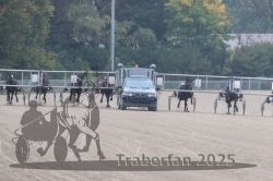 Dateiname=20251009_r04_072_R04_0265.jpg
Dateigröße=273KB
Abmessungen: 1000x667
hinzugefügt am: 09. Oktober 2025 20251009_r04_072_R04_0265.jpg