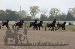 Dateiname=20251009_r04_073_R04_0268.jpg
Dateigröße=284KB
Abmessungen: 1000x667
hinzugefügt am: 09. Oktober 2025 20251009_r04_073_R04_0268.jpg