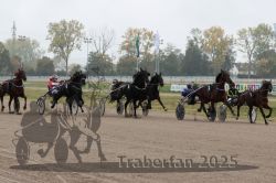 Dateiname=20251009_r04_075_R04_0276.jpg
Dateigröße=298KB
Abmessungen: 1000x667
hinzugefügt am: 09. Oktober 2025 20251009_r04_075_R04_0276.jpg