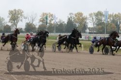 Dateiname=20251009_r04_076_R04_0281.jpg
Dateigröße=302KB
Abmessungen: 1000x667
hinzugefügt am: 09. Oktober 2025 20251009_r04_076_R04_0281.jpg