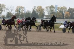 Dateiname=20251009_r04_077_R04_0285.jpg
Dateigröße=295KB
Abmessungen: 1000x667
hinzugefügt am: 09. Oktober 2025 20251009_r04_077_R04_0285.jpg