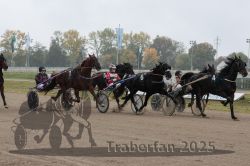 Dateiname=20251009_r04_078_R04_0292.jpg
Dateigröße=262KB
Abmessungen: 1000x667
hinzugefügt am: 09. Oktober 2025 20251009_r04_078_R04_0292.jpg