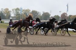 Dateiname=20251009_r04_079_R04_0295.jpg
Dateigröße=256KB
Abmessungen: 1000x667
hinzugefügt am: 09. Oktober 2025 20251009_r04_079_R04_0295.jpg