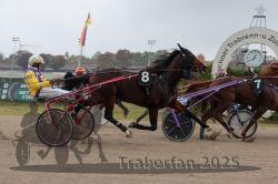 Dateiname=20251009_r04_083_R04_0311.jpg
Dateigröße=238KB
Abmessungen: 1000x667
hinzugefügt am: 09. Oktober 2025 20251009_r04_083_R04_0311.jpg