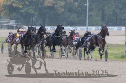 Dateiname=20251009_r04_084_R04_0315.jpg
Dateigröße=271KB
Abmessungen: 1000x667
hinzugefügt am: 09. Oktober 2025 20251009_r04_084_R04_0315.jpg