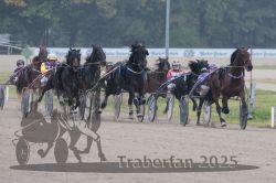 Dateiname=20251009_r04_085_R04_0319.jpg
Dateigröße=268KB
Abmessungen: 1000x667
hinzugefügt am: 09. Oktober 2025 20251009_r04_085_R04_0319.jpg