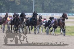 Dateiname=20251009_r04_086_R04_0323.jpg
Dateigröße=276KB
Abmessungen: 1000x667
hinzugefügt am: 09. Oktober 2025 20251009_r04_086_R04_0323.jpg