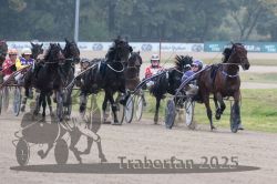 Dateiname=20251009_r04_087_R04_0327.jpg
Dateigröße=287KB
Abmessungen: 1000x667
hinzugefügt am: 09. Oktober 2025 20251009_r04_087_R04_0327.jpg