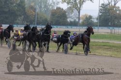 Dateiname=20251009_r04_088_R04_0332.jpg
Dateigröße=299KB
Abmessungen: 1000x667
hinzugefügt am: 09. Oktober 2025 20251009_r04_088_R04_0332.jpg