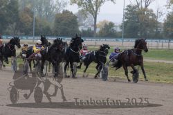 Dateiname=20251009_r04_089_R04_0336.jpg
Dateigröße=301KB
Abmessungen: 1000x667
hinzugefügt am: 09. Oktober 2025 20251009_r04_089_R04_0336.jpg