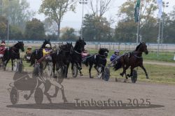 Dateiname=20251009_r04_090_R04_0342.jpg
Dateigröße=305KB
Abmessungen: 1000x667
hinzugefügt am: 09. Oktober 2025 20251009_r04_090_R04_0342.jpg