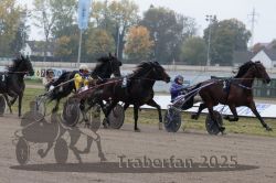 Dateiname=20251009_r04_091_R04_0349.jpg
Dateigröße=303KB
Abmessungen: 1000x667
hinzugefügt am: 09. Oktober 2025 20251009_r04_091_R04_0349.jpg