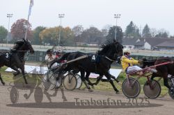 Dateiname=20251009_r04_093_R04_0363.jpg
Dateigröße=261KB
Abmessungen: 1000x667
hinzugefügt am: 09. Oktober 2025 20251009_r04_093_R04_0363.jpg