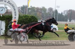 Dateiname=20251009_r04_097_R04_0380.jpg
Dateigröße=294KB
Abmessungen: 1000x667
hinzugefügt am: 09. Oktober 2025 20251009_r04_097_R04_0380.jpg