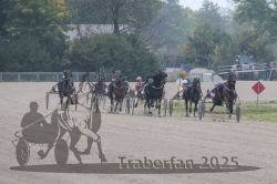 Dateiname=20251009_r04_100_R04_0394.jpg
Dateigröße=270KB
Abmessungen: 1000x667
hinzugefügt am: 09. Oktober 2025 20251009_r04_100_R04_0394.jpg