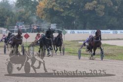 Dateiname=20251009_r04_101_R04_0400.jpg
Dateigröße=271KB
Abmessungen: 1000x667
hinzugefügt am: 09. Oktober 2025 20251009_r04_101_R04_0400.jpg