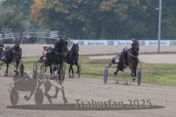 Dateiname=20251009_r04_102_R04_0404.jpg
Dateigröße=250KB
Abmessungen: 1000x667
hinzugefügt am: 09. Oktober 2025 20251009_r04_102_R04_0404.jpg