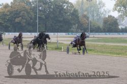 Dateiname=20251009_r04_103_R04_0409.jpg
Dateigröße=300KB
Abmessungen: 1000x667
hinzugefügt am: 09. Oktober 2025 20251009_r04_103_R04_0409.jpg