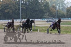 Dateiname=20251009_r04_104_R04_0412.jpg
Dateigröße=288KB
Abmessungen: 1000x667
hinzugefügt am: 09. Oktober 2025 20251009_r04_104_R04_0412.jpg