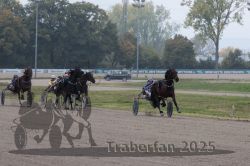 Dateiname=20251009_r04_105_R04_0416.jpg
Dateigröße=296KB
Abmessungen: 1000x667
hinzugefügt am: 09. Oktober 2025 20251009_r04_105_R04_0416.jpg