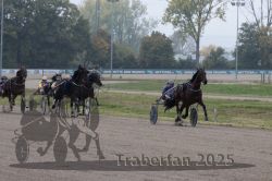 Dateiname=20251009_r04_106_R04_0422.jpg
Dateigröße=295KB
Abmessungen: 1000x667
hinzugefügt am: 09. Oktober 2025 20251009_r04_106_R04_0422.jpg