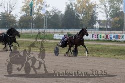 Dateiname=20251009_r04_107_R04_0427.jpg
Dateigröße=331KB
Abmessungen: 1000x667
hinzugefügt am: 09. Oktober 2025 20251009_r04_107_R04_0427.jpg