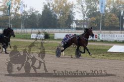 Dateiname=20251009_r04_108_R04_0431.jpg
Dateigröße=326KB
Abmessungen: 1000x667
hinzugefügt am: 09. Oktober 2025 20251009_r04_108_R04_0431.jpg