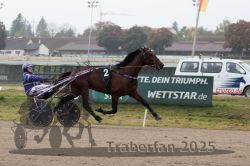 Dateiname=20251009_r04_111_R04_0439.jpg
Dateigröße=260KB
Abmessungen: 1000x667
hinzugefügt am: 09. Oktober 2025 20251009_r04_111_R04_0439.jpg