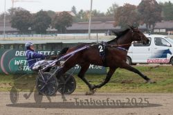 Dateiname=20251009_r04_112_R04_0442.jpg
Dateigröße=289KB
Abmessungen: 1000x667
hinzugefügt am: 09. Oktober 2025 20251009_r04_112_R04_0442.jpg