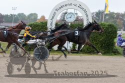 Dateiname=20251009_r04_115_R04_0449.jpg
Dateigröße=293KB
Abmessungen: 1000x667
hinzugefügt am: 09. Oktober 2025 20251009_r04_115_R04_0449.jpg