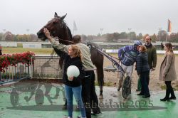 Dateiname=20251009_r04_116_R04_0457.jpg
Dateigröße=297KB
Abmessungen: 1000x667
hinzugefügt am: 09. Oktober 2025 20251009_r04_116_R04_0457.jpg