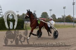 Dateiname=20251009_r05_001_R05_0002.jpg
Dateigröße=269KB
Abmessungen: 1000x667
hinzugefügt am: 09. Oktober 2025 20251009_r05_001_R05_0002.jpg