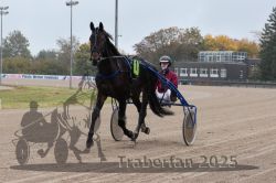 Dateiname=20251009_r05_003_R05_0014.jpg
Dateigröße=276KB
Abmessungen: 1000x667
hinzugefügt am: 09. Oktober 2025 20251009_r05_003_R05_0014.jpg