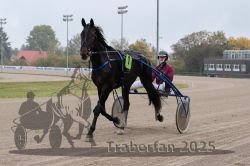 Dateiname=20251009_r05_004_R05_0019.jpg
Dateigröße=264KB
Abmessungen: 1000x667
hinzugefügt am: 09. Oktober 2025 20251009_r05_004_R05_0019.jpg