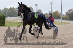 Dateiname=20251009_r05_005_R05_0024.jpg
Dateigröße=278KB
Abmessungen: 1000x667
hinzugefügt am: 09. Oktober 2025 20251009_r05_005_R05_0024.jpg