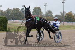 Dateiname=20251009_r05_007_R05_0037.jpg
Dateigröße=280KB
Abmessungen: 1000x667
hinzugefügt am: 09. Oktober 2025 20251009_r05_007_R05_0037.jpg