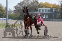 Dateiname=20251009_r05_008_R05_0041.jpg
Dateigröße=298KB
Abmessungen: 1000x667
hinzugefügt am: 09. Oktober 2025 20251009_r05_008_R05_0041.jpg