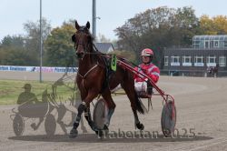 Dateiname=20251009_r05_009_R05_0050.jpg
Dateigröße=281KB
Abmessungen: 1000x667
hinzugefügt am: 09. Oktober 2025 20251009_r05_009_R05_0050.jpg