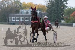 Dateiname=20251009_r05_010_R05_0054.jpg
Dateigröße=306KB
Abmessungen: 1000x667
hinzugefügt am: 09. Oktober 2025 20251009_r05_010_R05_0054.jpg