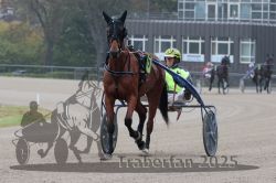 Dateiname=20251009_r05_014_R05_0081.jpg
Dateigröße=263KB
Abmessungen: 1000x667
hinzugefügt am: 09. Oktober 2025 20251009_r05_014_R05_0081.jpg