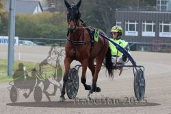 Dateiname=20251009_r05_015_R05_0089.jpg
Dateigröße=278KB
Abmessungen: 1000x667
hinzugefügt am: 09. Oktober 2025 20251009_r05_015_R05_0089.jpg