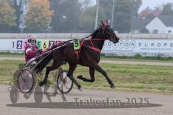 Dateiname=20251009_r05_016_R05_0093.jpg
Dateigröße=263KB
Abmessungen: 1000x667
hinzugefügt am: 09. Oktober 2025 20251009_r05_016_R05_0093.jpg