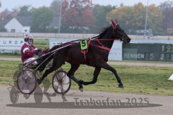 Dateiname=20251009_r05_018_R05_0100.jpg
Dateigröße=256KB
Abmessungen: 1000x667
hinzugefügt am: 09. Oktober 2025 20251009_r05_018_R05_0100.jpg